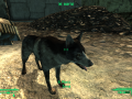 Fallout3 2012-05-27 17-17-15-48.png
